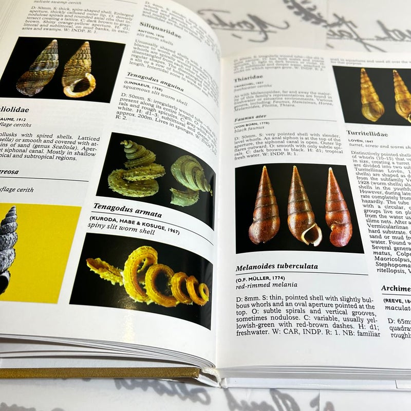 The Comple Encyclopedia of Shells