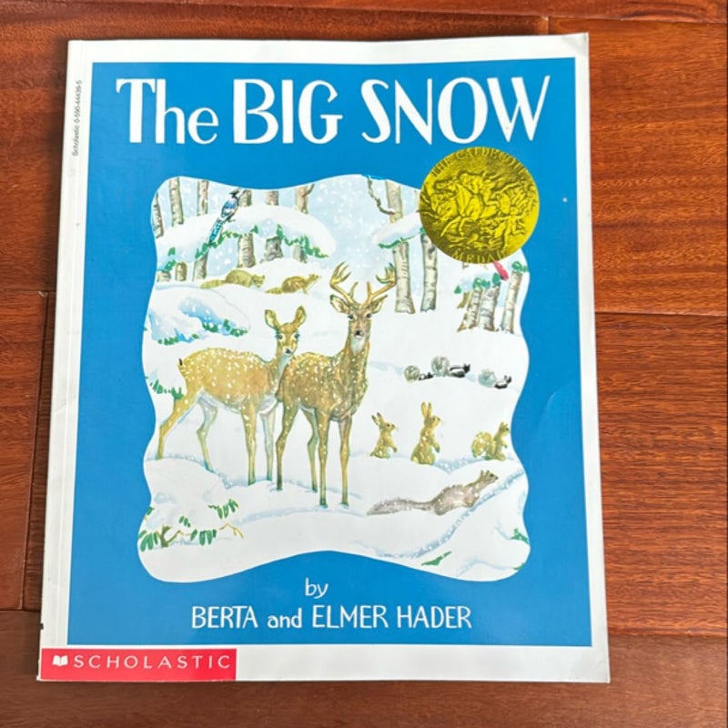 The BIG SNOW