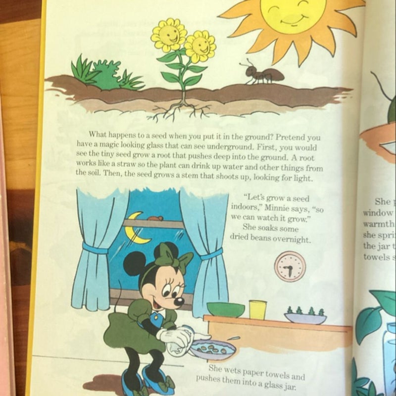 Walt Disney fun to learn lot of books funny educational vintage 