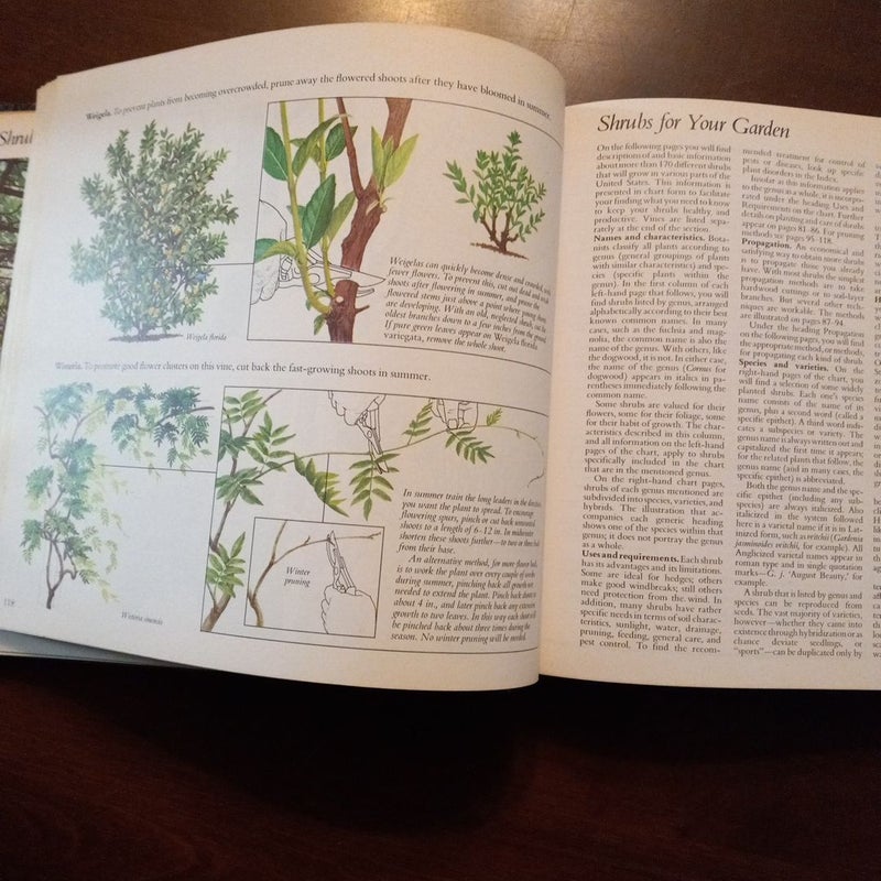 Illustrated Guide to Gardening