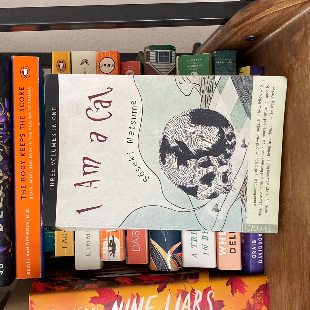 Sale image for 963b8252-de3b-4a17-84b3-29af49954427-fd5HGRMMm0cU7R6BjD5C5SVZLVB2