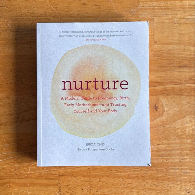 Nurture: a Modern Guide to Pregnancy, Birth, Early Motherhood--And Trusting Yourself and Your Body (Pregnancy Books, Mom to Be Gifts, Newborn Books, Birthing Books)