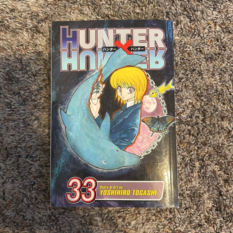 Hunter X Hunter nº 33 (Nova Edição)