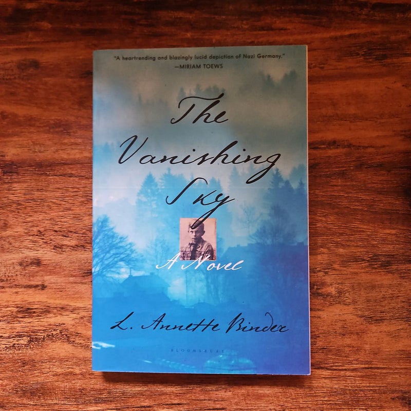 The Vanishing Sky