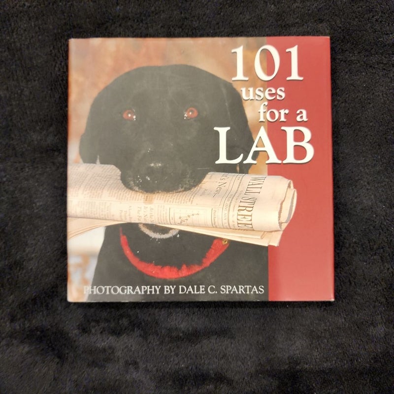 101 Uses for a Lab