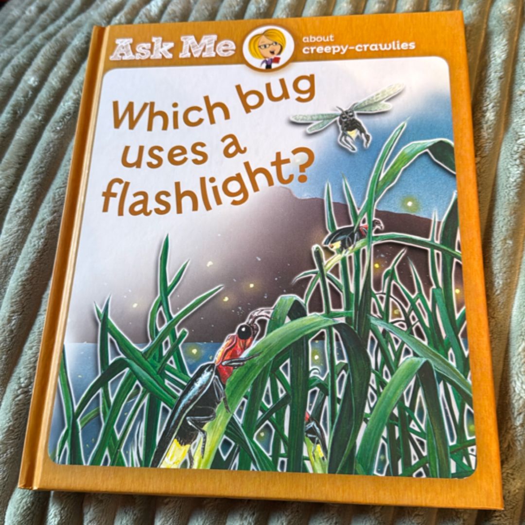 Ask me about creepy-crawlies - Which bug uses a flashlight?
