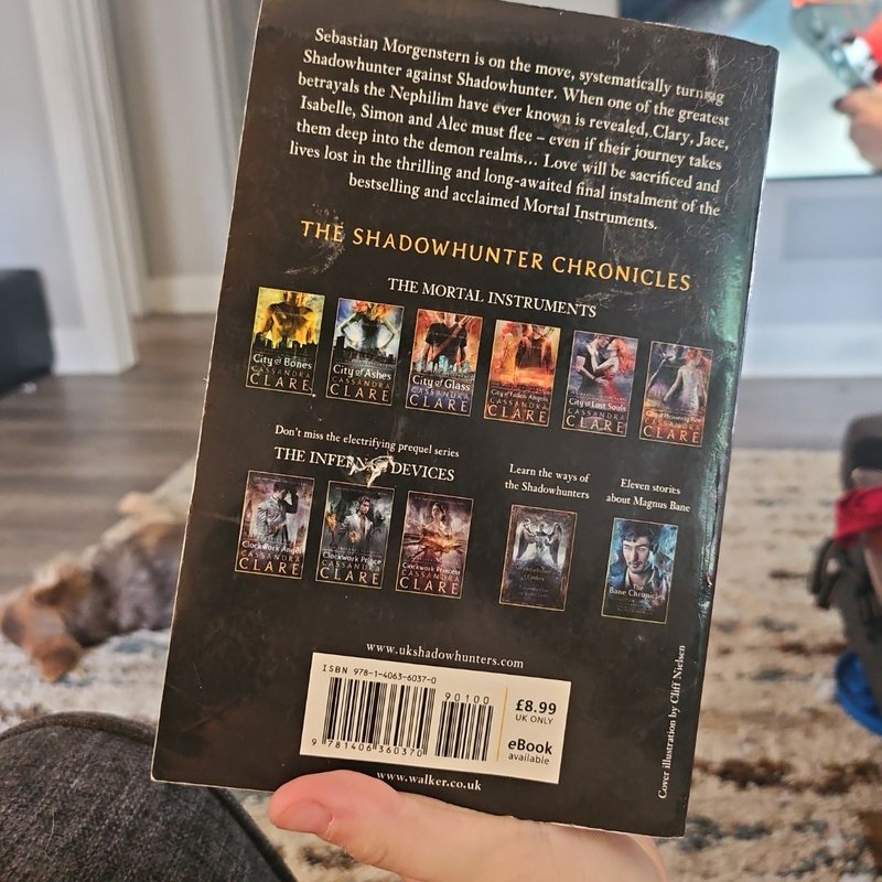 City of Heavenly Fire