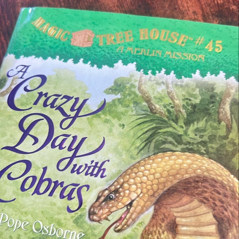 A Crazy Day with Cobras