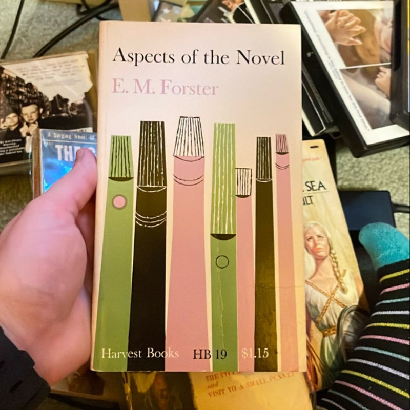 Aspects of the Novel