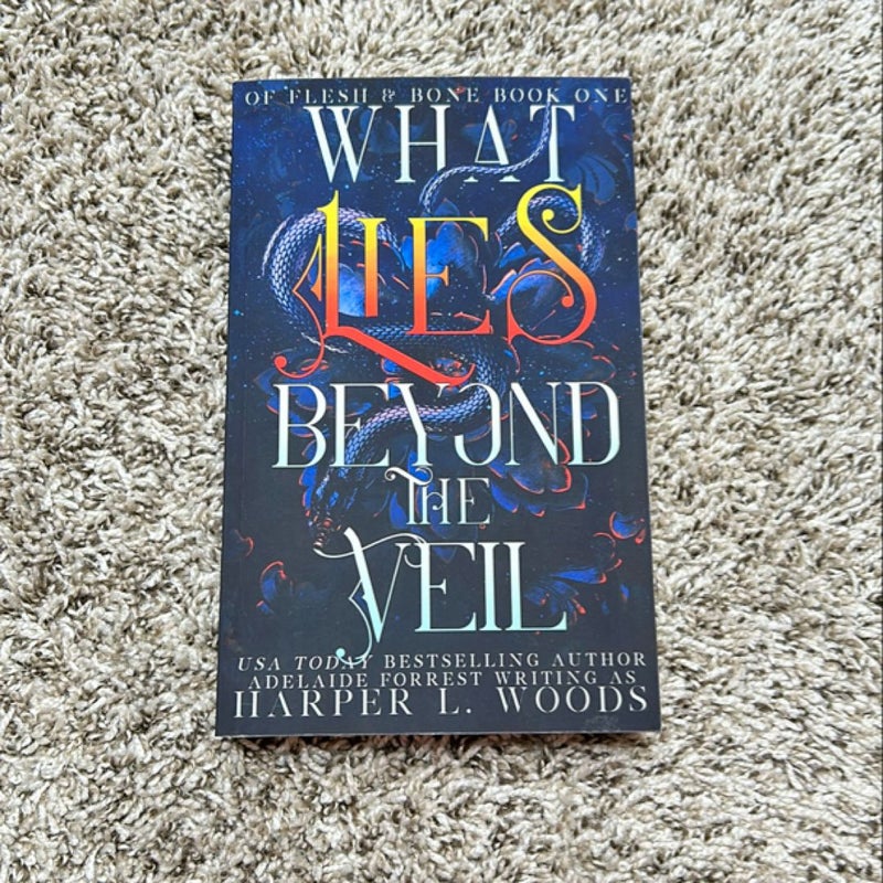 What Lies Beyond the Veil (OOP Indie Edition) 