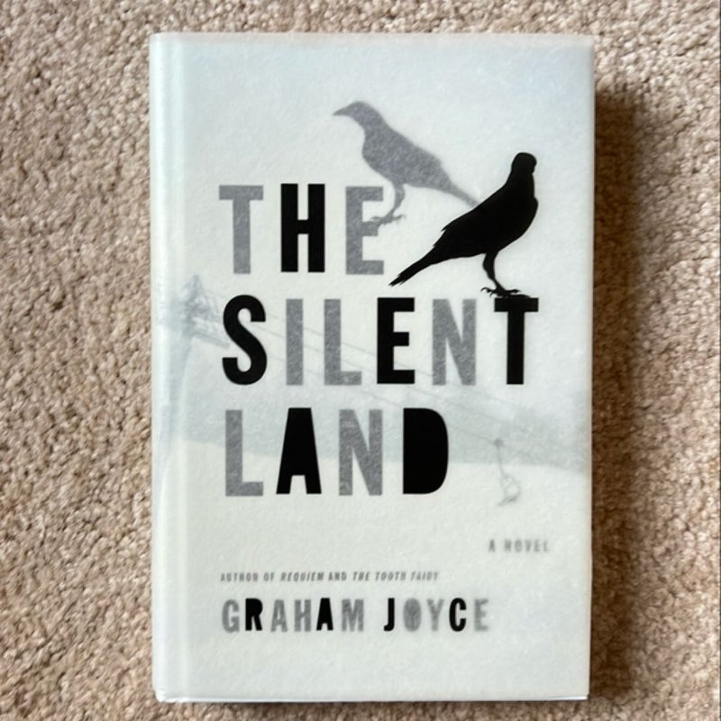 The Silent Land