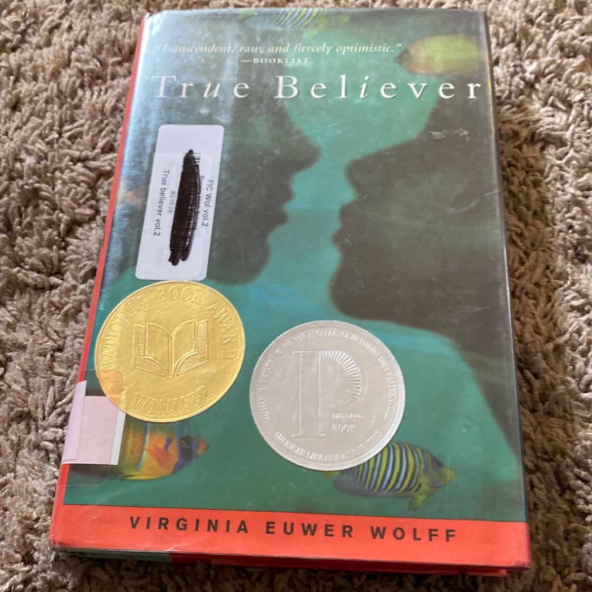 True Believer by Virginia Euwer Wolff