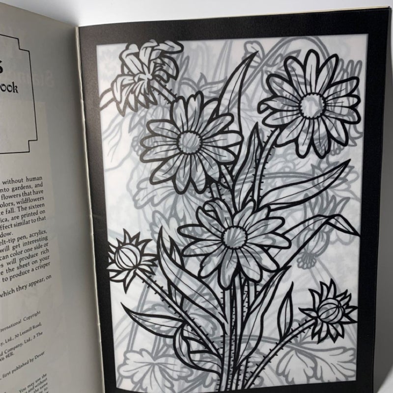 Wildflowers & Exotic Birds Vintage Stained Glass Coloring Book Lot 90s Nature