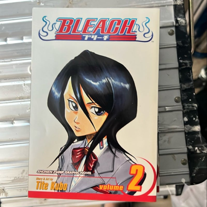 Bleach, Vol. 2