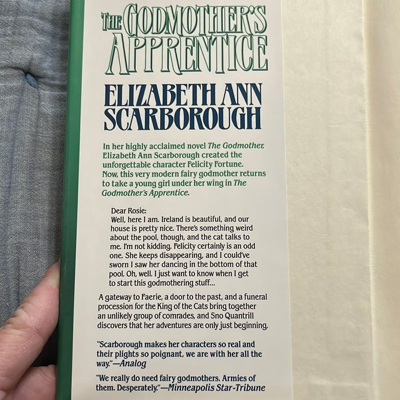 The Godmother's Apprentice