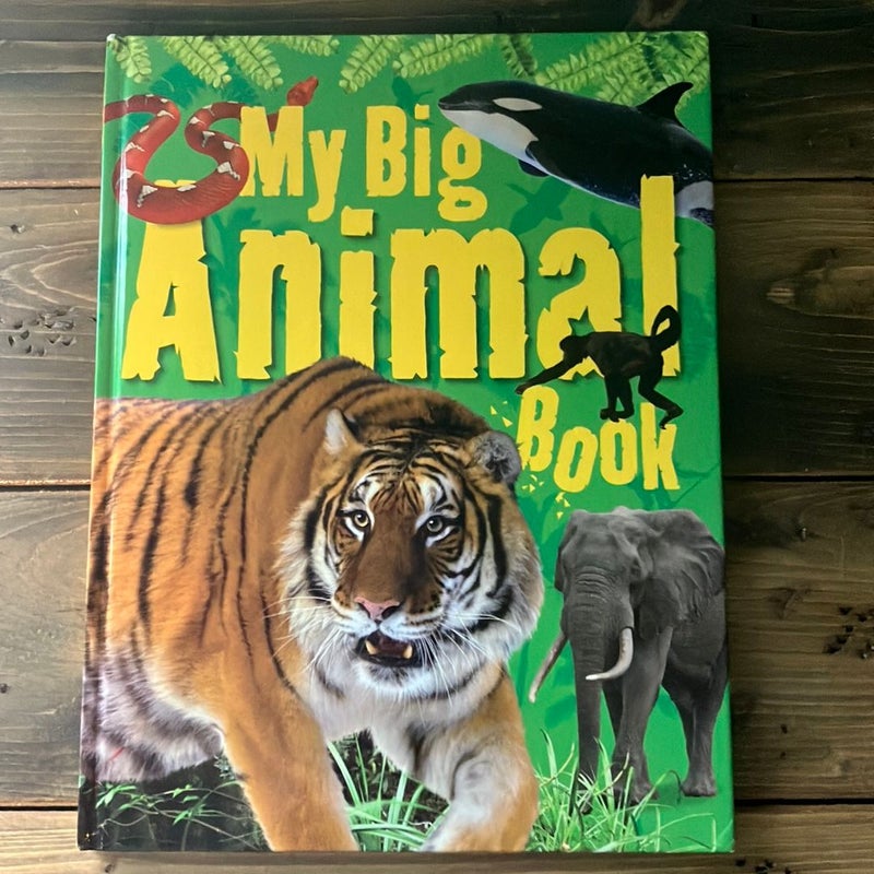 My Big Animal Book