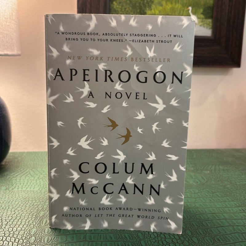 Apeirogon: a Novel