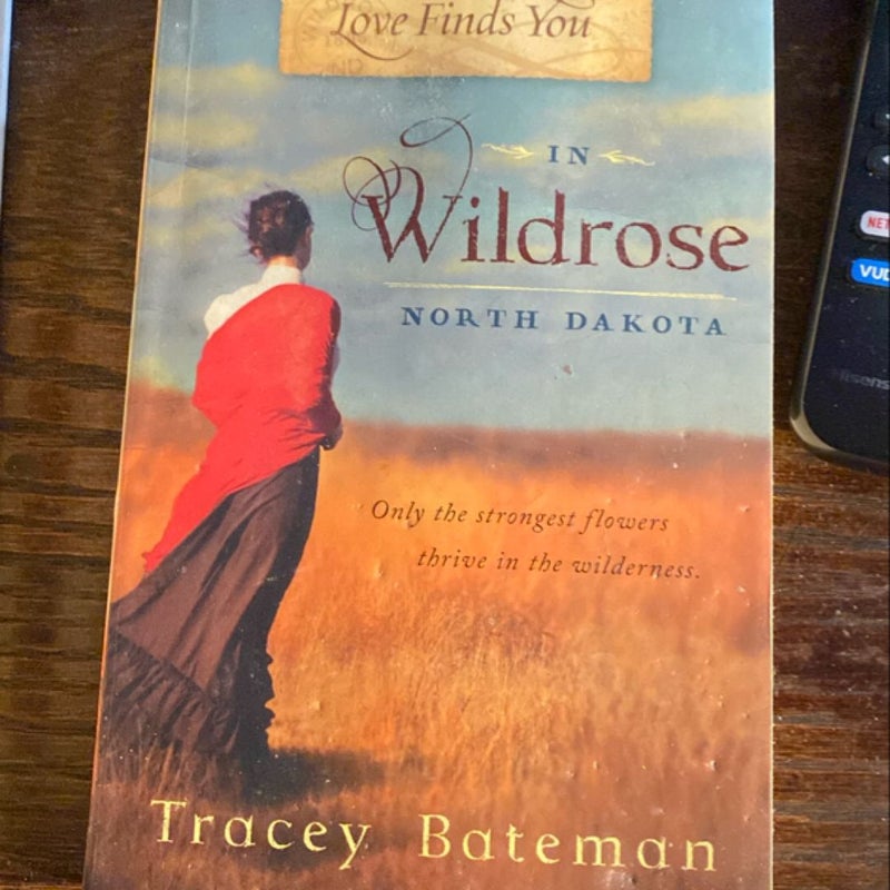 Love Finds You in Wildrose, North Dakota