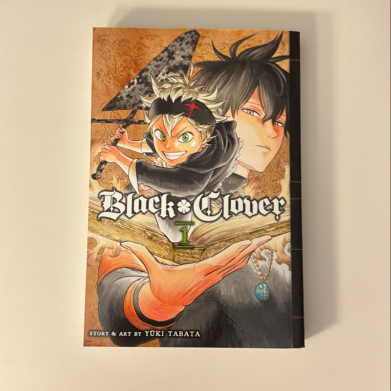 Black Clover, Vol. 1