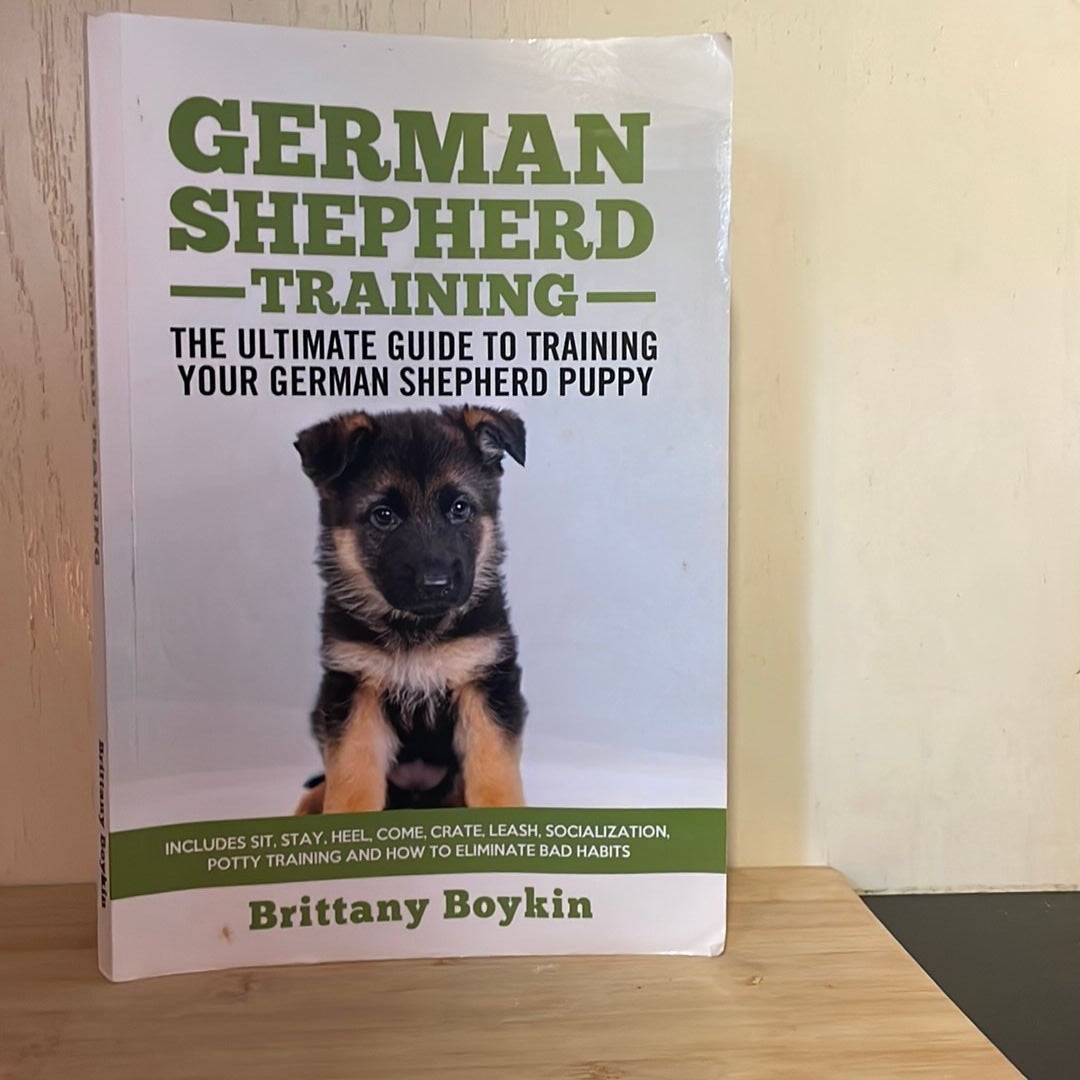 Leash training german shepherd cheap puppy