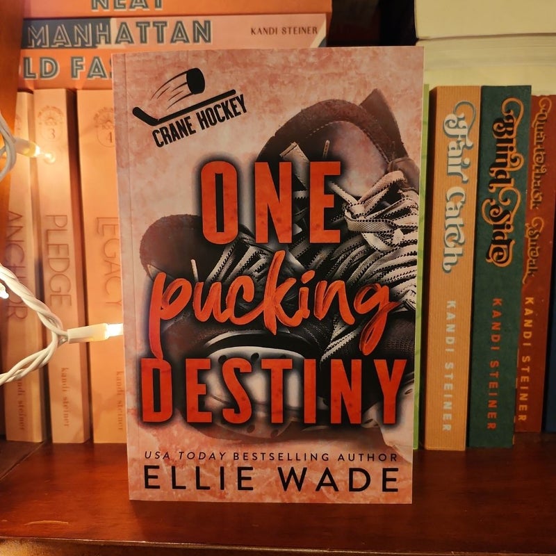 One Pucking Destiny