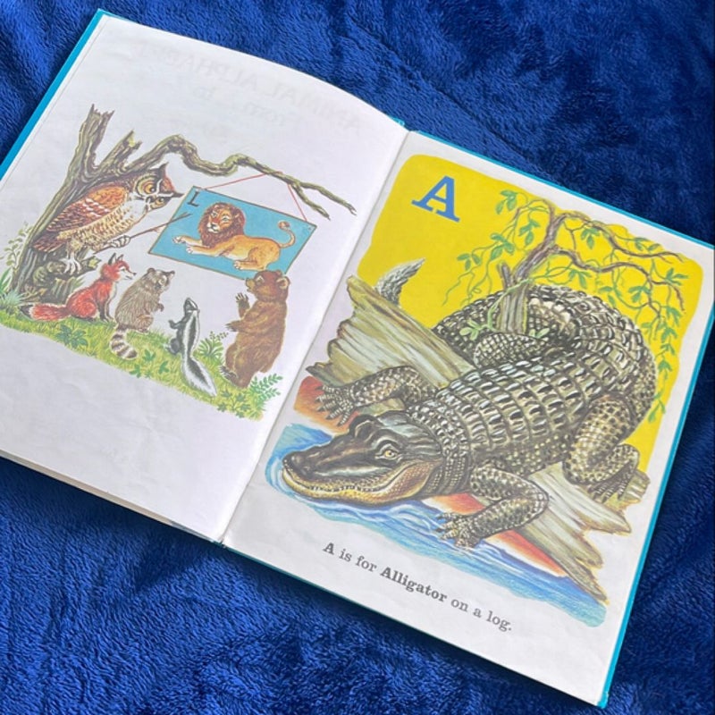 Animal Alphabet