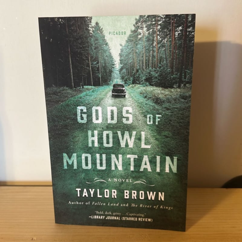 Gods of Howl Mountain by Taylor Brown, Paperback | Pangobooks