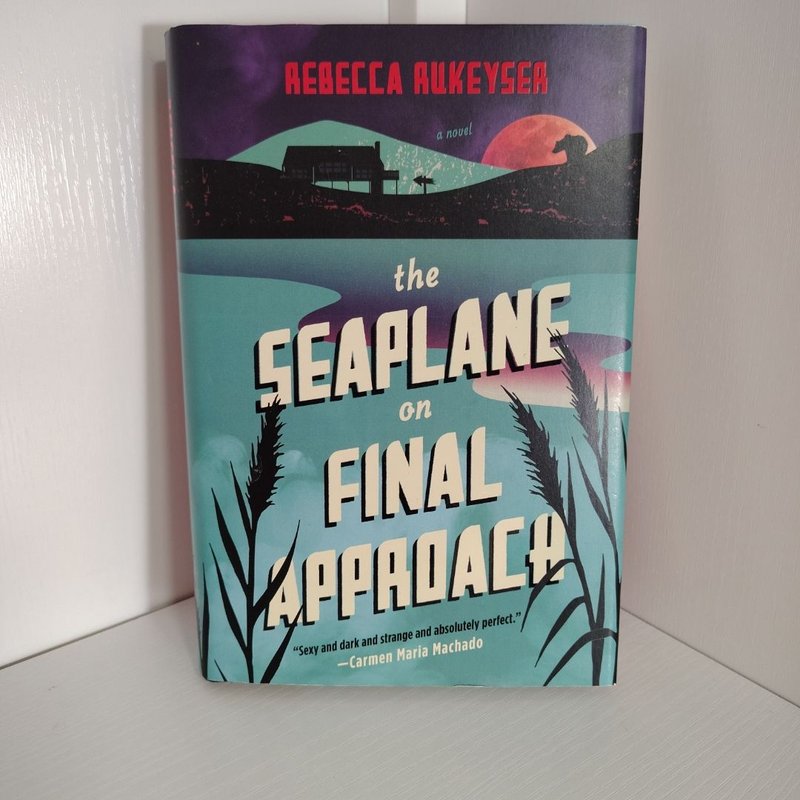 The Seaplane on Final Approach