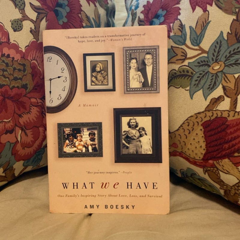 What We Have