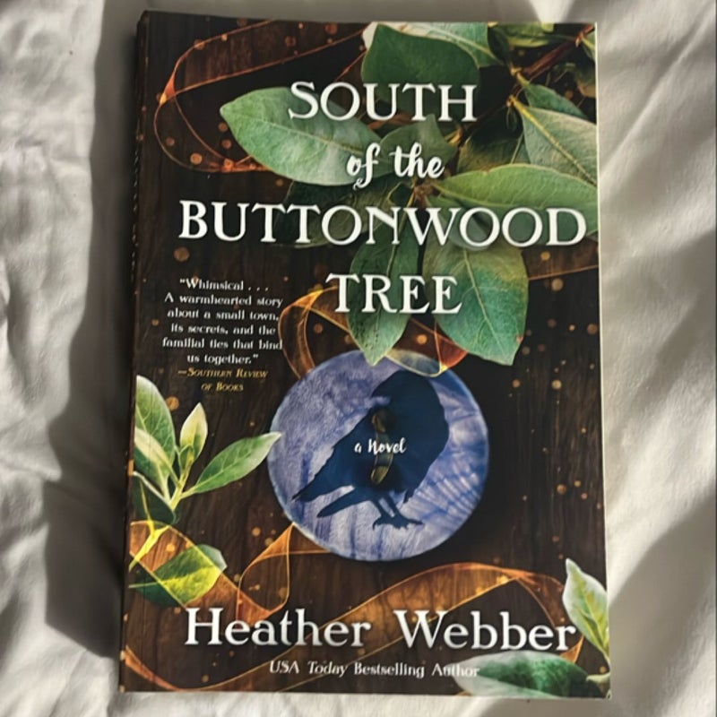 South of the Buttonwood Tree