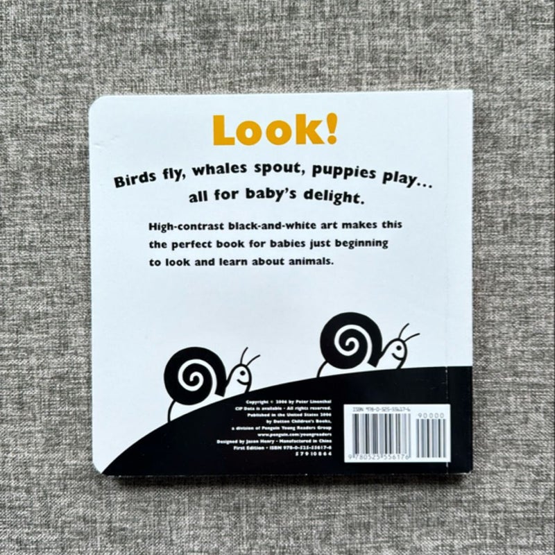 Look at the Animals! (Board Book)