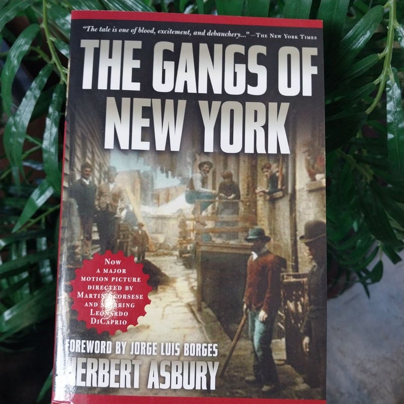 The Gangs of New York