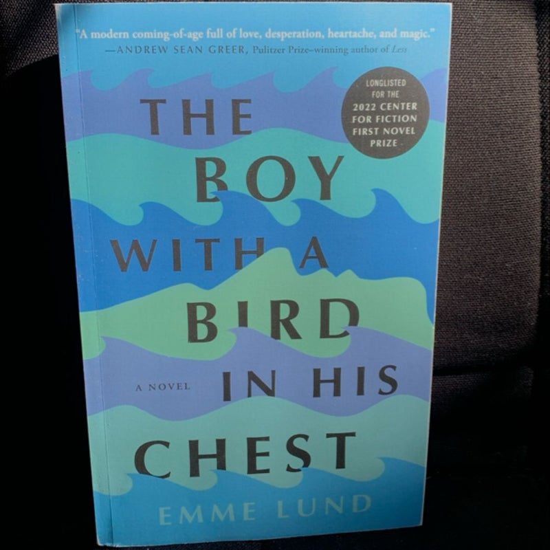 The Boy with a Bird in His Chest