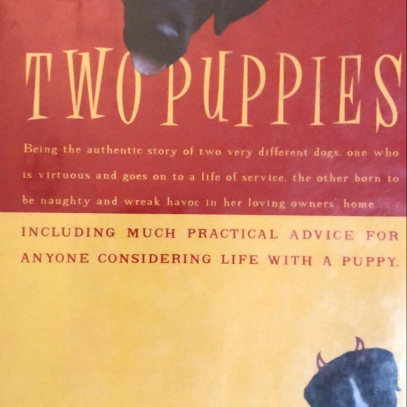 Two Puppies