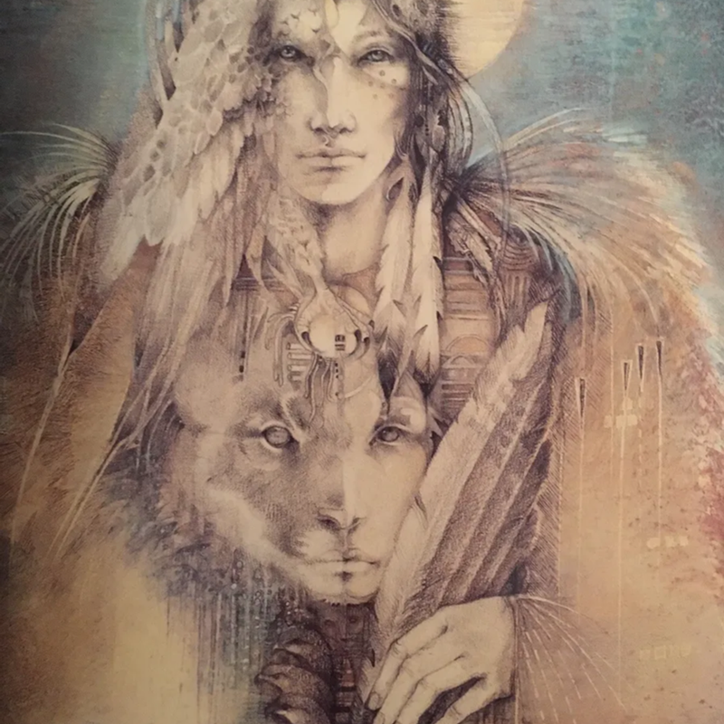 Shaman : The Paintings of Susan Seddon Boulet 