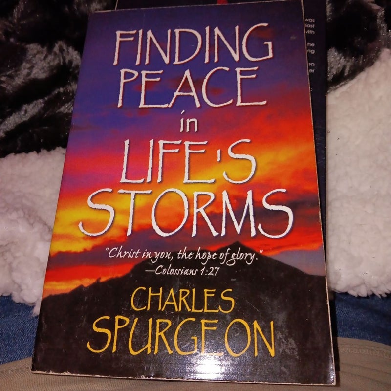 Finding Peace in Life's Storms