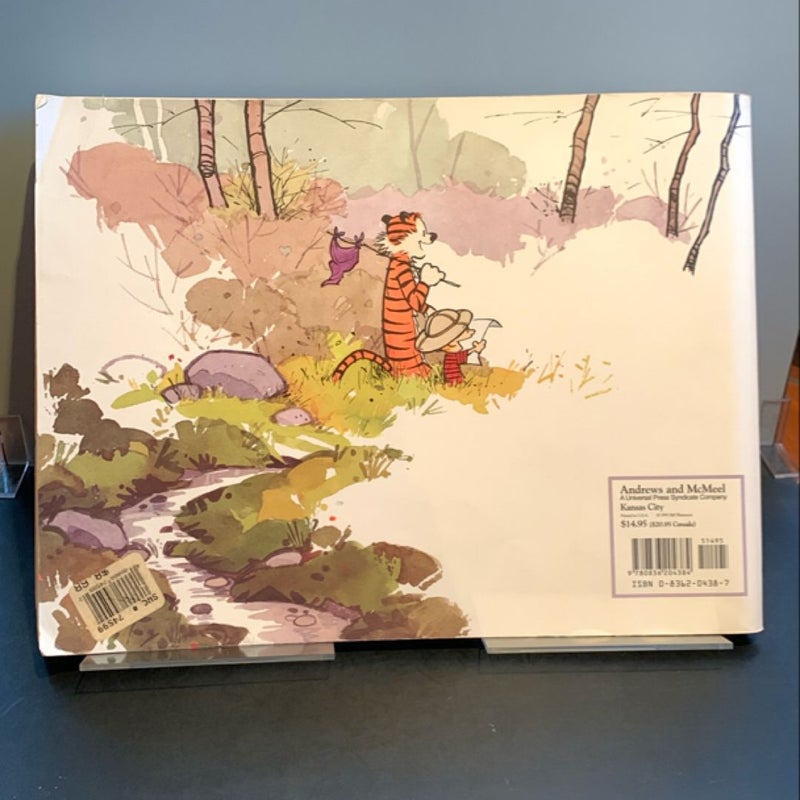 The Calvin and Hobbes Tenth Anniversary Book