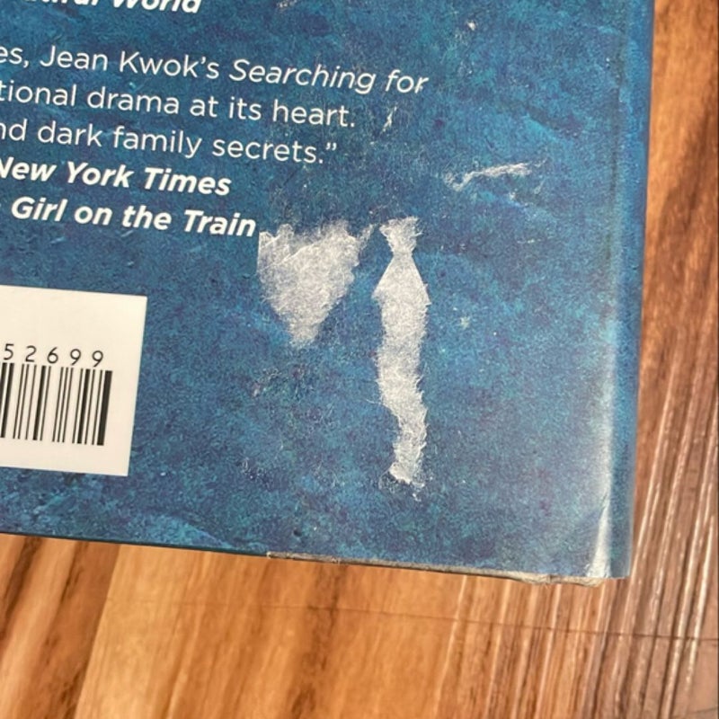 Searching for Sylvie Lee