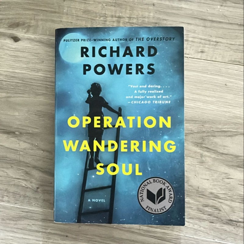 Operation Wandering Soul