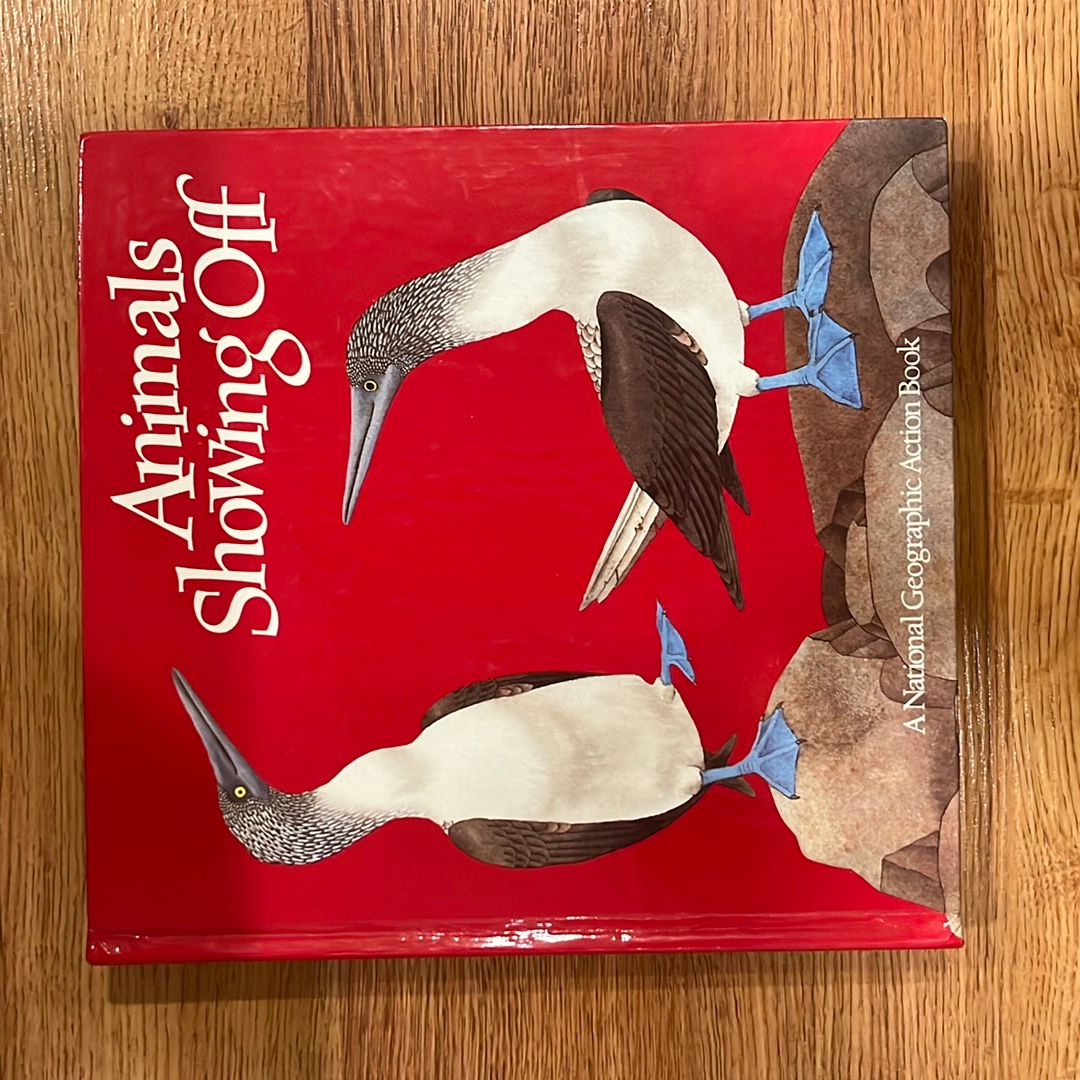 Pop-Up: Animals Showing Off