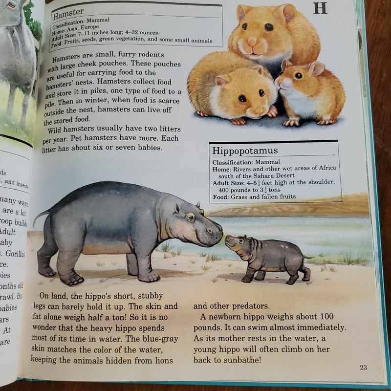 My First Book of Animals from A to Z