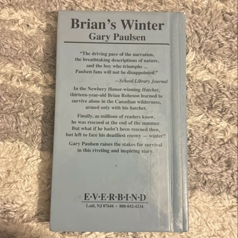 Brian’s Winter