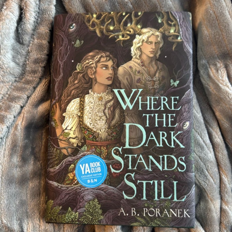 Where the dark stands still 