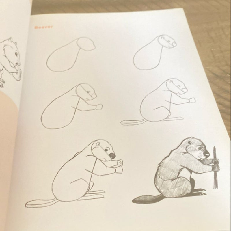 Young artists draw animals