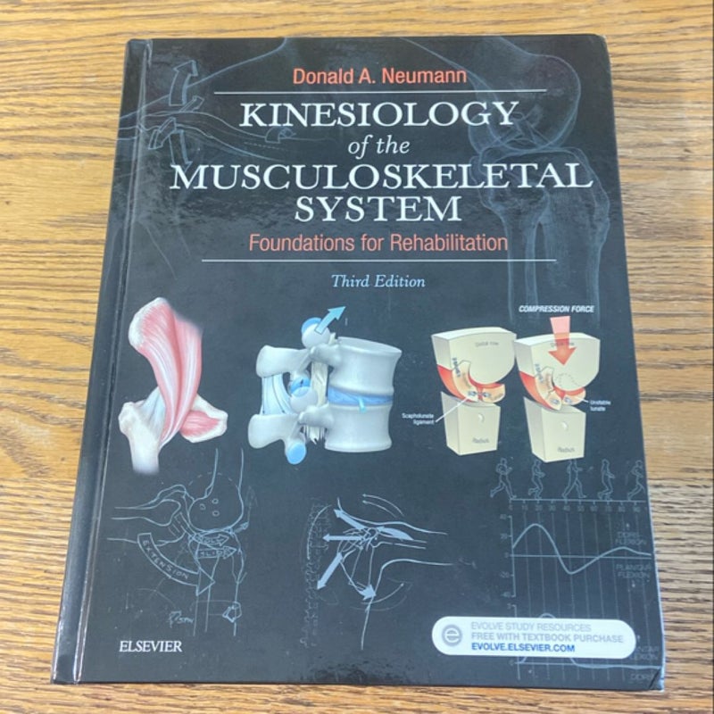 Kinesiology of the Musculoskeletal System