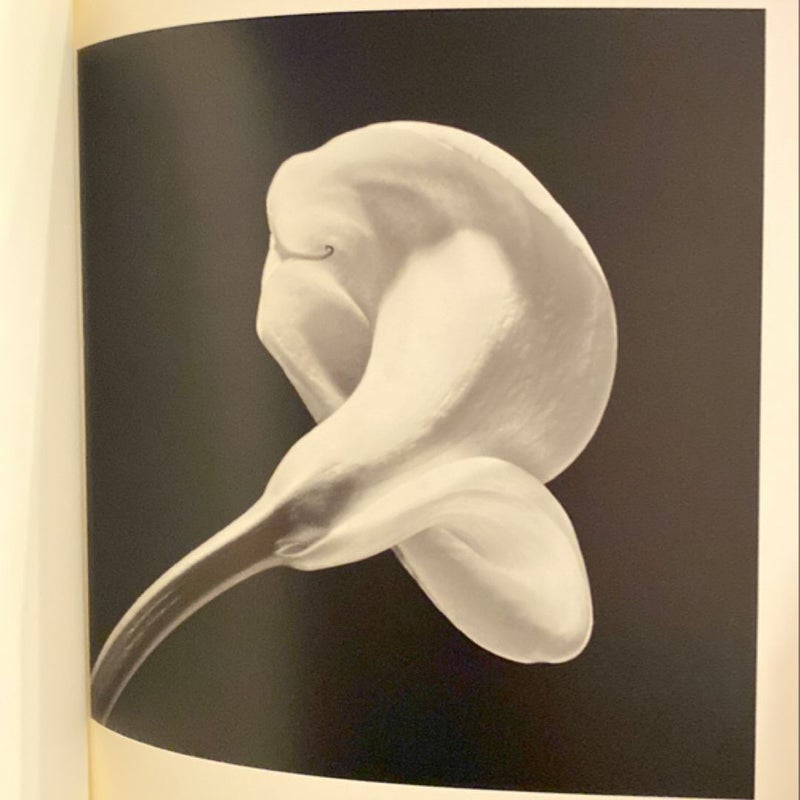 Robert Mapplethorpe