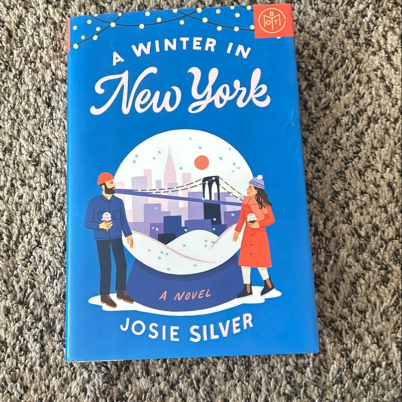 A Winter in New York