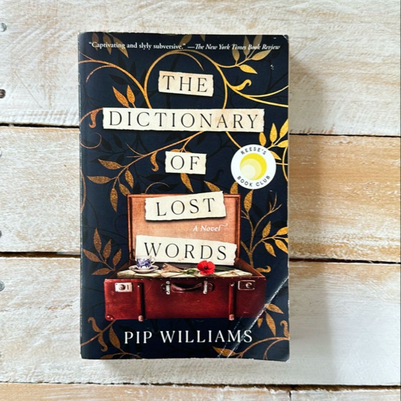 The Dictionary of Lost Words