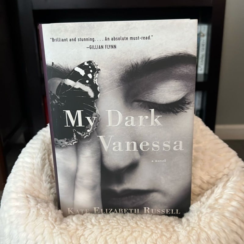 My Dark Vanessa