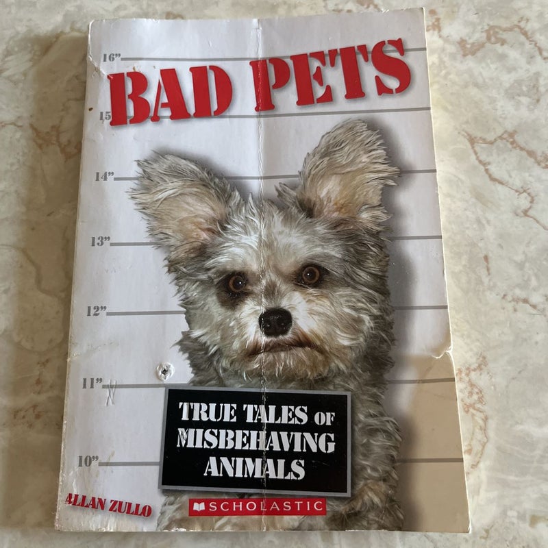 Bad Pets & Finding Gobi bundle 